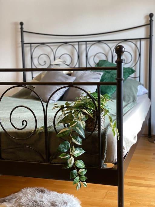 בישופסווייסן Neues Ruhiges Apartment, Bergblick, Stellplatz מראה חיצוני תמונה